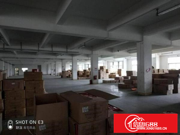 企石新出原房东独院厂房标准8100 单一层1700