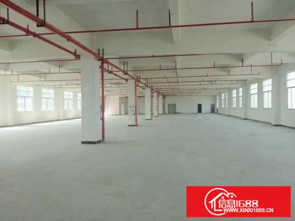 大岭山大塘新建厂房每层2350平带牛角消防喷淋