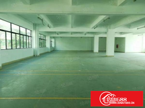 李朗高新园区200平320平520平...1800平带装修