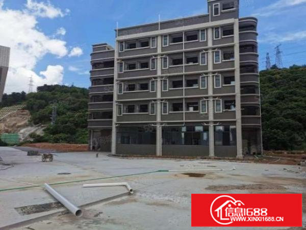 龙岗嶂背原房东独门独院厂房出租.带精装修.1300平无公摊