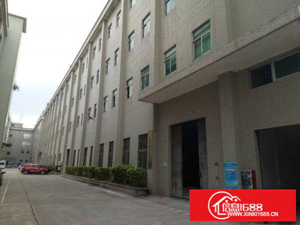 清溪主干道边，新出原房东一楼带现成办公室滴水6.5米