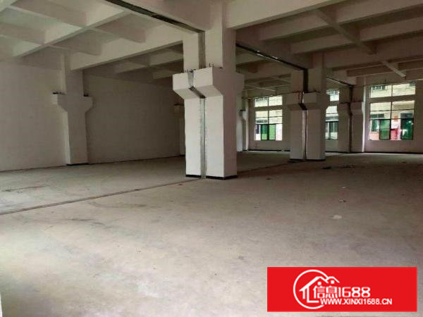 出租横沥新四原房东厂房一楼600平方带牛角高度6米