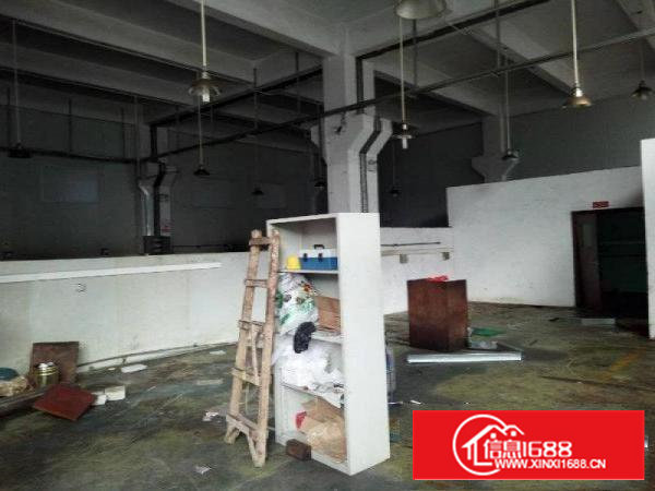 沙井一楼单层340平高5.5米以上，13米挂车可进