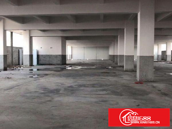 清盘啦！清盘啦！万江简沙洲一楼精装办公室500平底价租