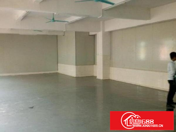 龙岗专做食品厂房800平米低价招租