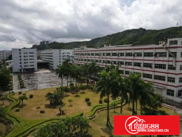 龙岗区40万平超大型工业区厂房出租，300平起分，园区空地大