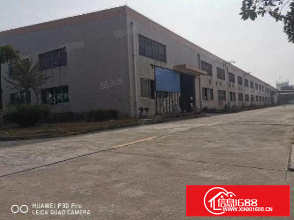 横沥石涌工业区新出独栋单一层钢结构厂房5000平方滴水8米