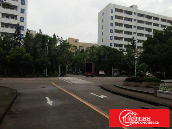 惠环平南天好工业园分租一楼标准厂房1350出租