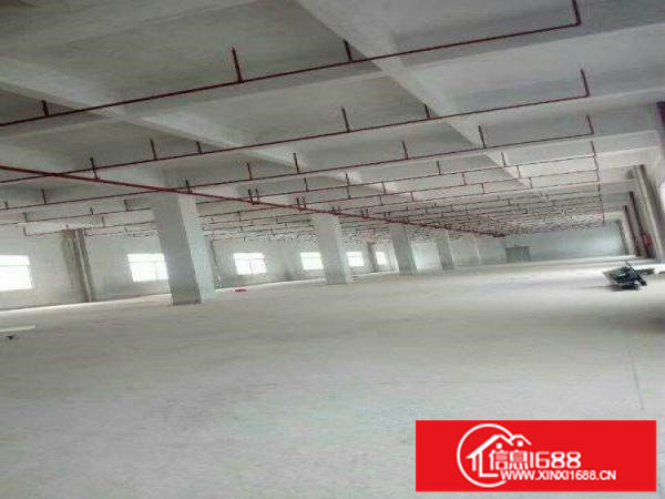 坪山原房东26000平米独院厂房招租