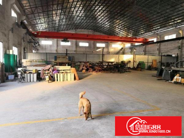 横岗深坑2000平米6米一楼出租