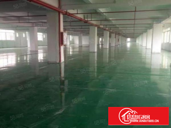 万江6000平米大空地独院有独立办公楼