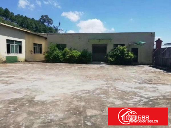 塘厦龙背岭钢构独院1400平，滴水6米，微偏可噪音粉尘污染