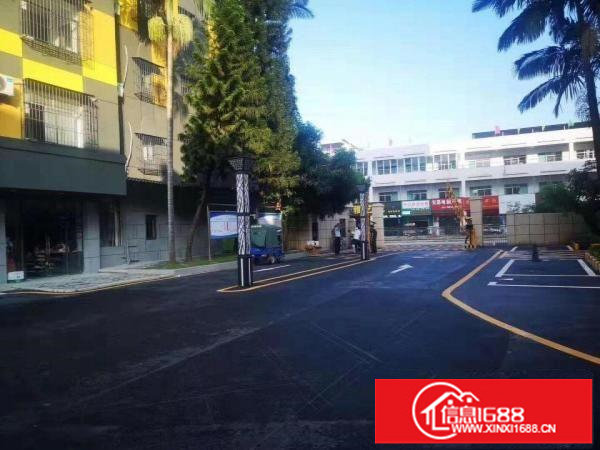 横岗塘坑地铁站精装办公室电商仓库100平米起分租