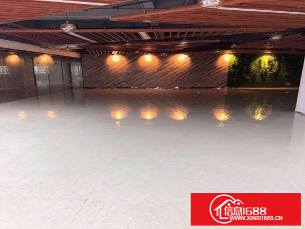 龙岗坪地980平高带红本新厂房低碳城旁可做净水器研发