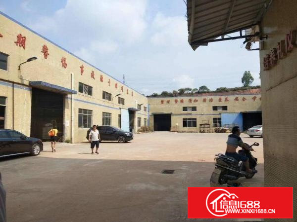 企石原房东形象漂亮钢构厂房出租4500平方米形象好