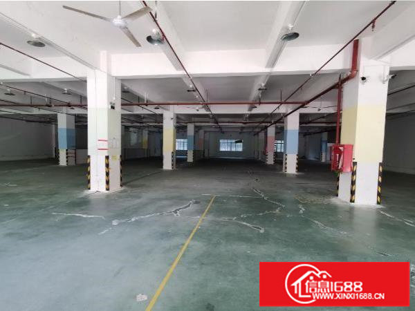 坂田原房东厂房，2000平，价格25可谈，独门独院，通车方便