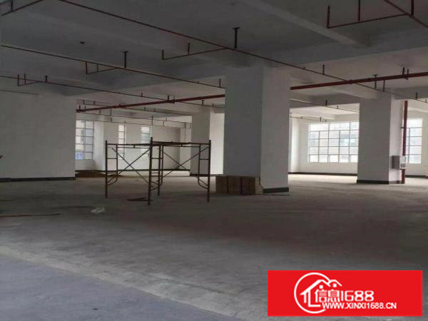 布吉李朗全新厂房火爆招租，1000平方起分租