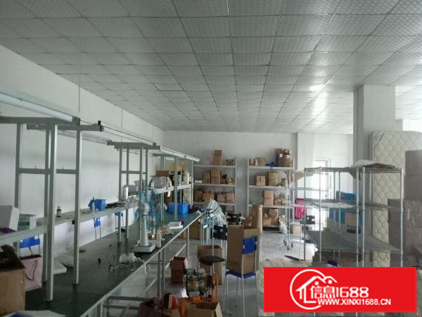 龙岗龙西北通道边，原房东标准930平带精装修标准厂房出租