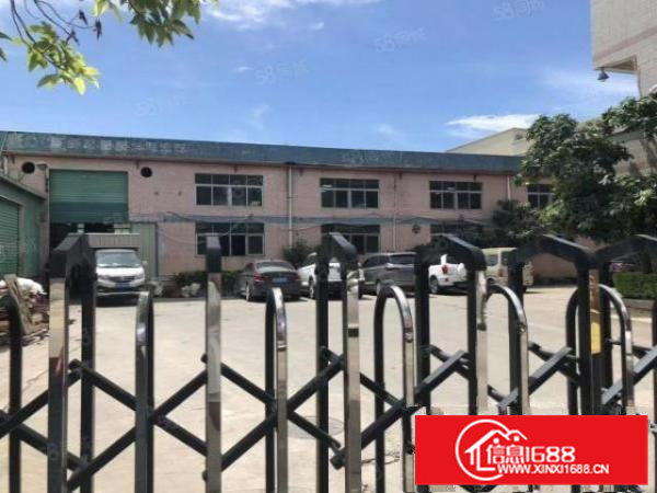 清溪8米高单一层1800平方实际面积出租