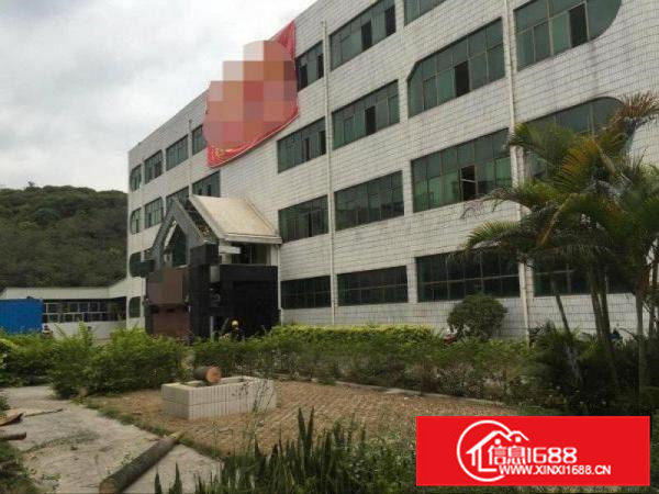 清溪镇中心独门独院厂房出租9600平方，适合各行业