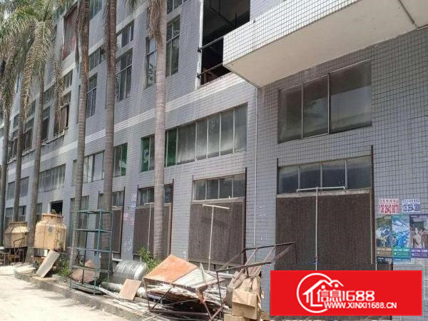 高埗原房东标准厂房一楼出租