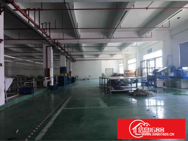 横岗安良社区独门独院厂房6500平方出租