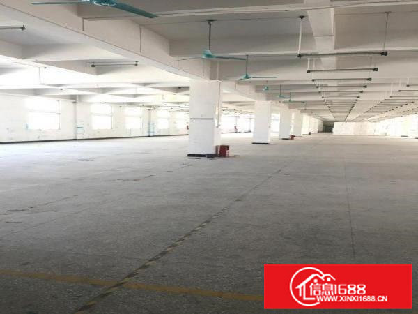 沿江高速出口精装修独院5200平出租啦