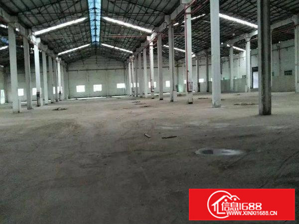 高埗村委招租大小都有合适各种行业