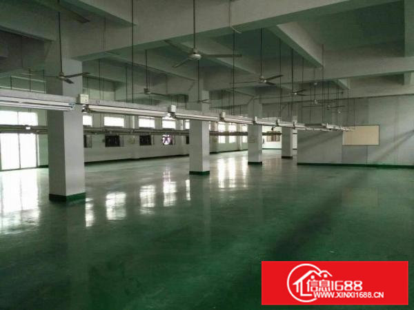 原房东出租4000平方独门独院标准厂房