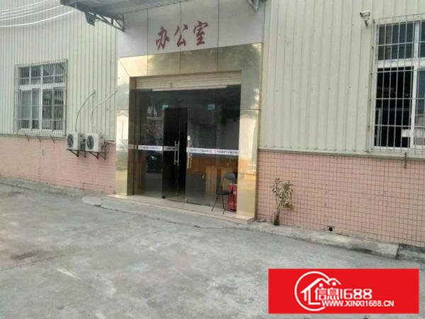 树田树安路新出滴水10米高钢构厂房3500平