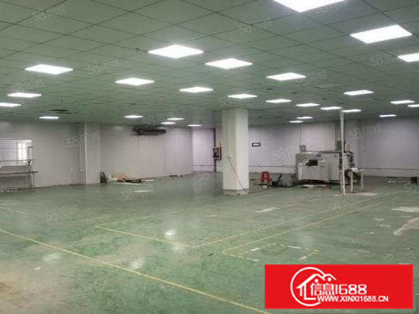 凤岗雁田原房东标准厂房楼上空出1500平方实际面积精装修出租