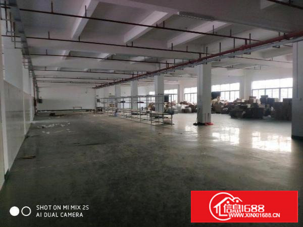 谢岗楼上单层带喷淋厂房出租