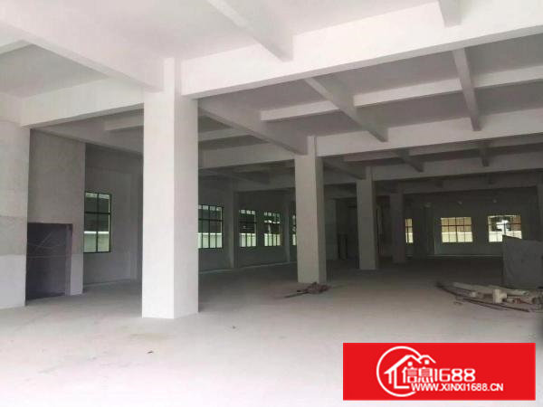 东莞市桥头标准独门独院厂房出租