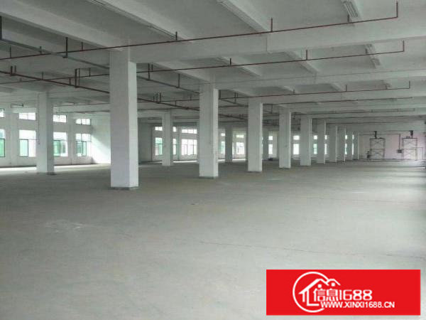 宝龙红本一楼6米1500平厂房出租带消防喷淋形象好
