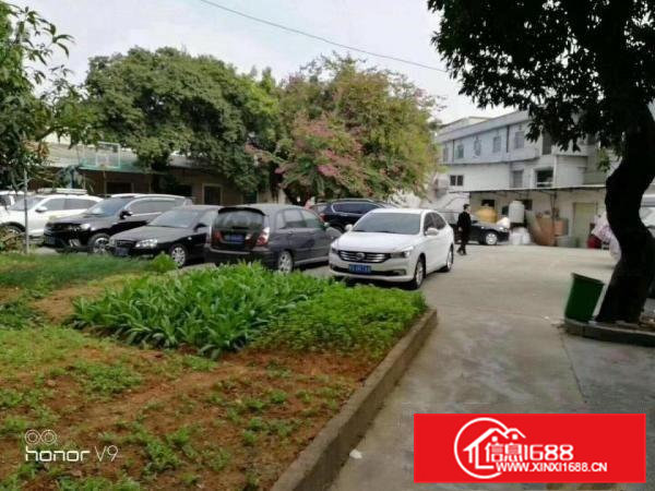 袁山贝独院厂房出租可分租