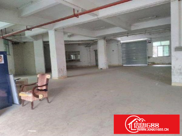 布吉丹竹头标准厂房仓库一楼350、550平方