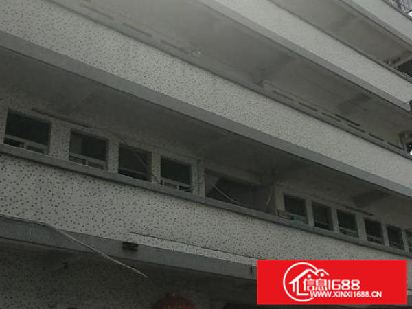 横岗，地铁附近，大路边红本带豪华展厅独院厂房招租