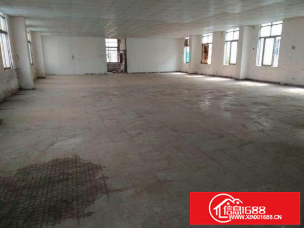 龙岗坪地新出400㎡标准厂房二楼出租