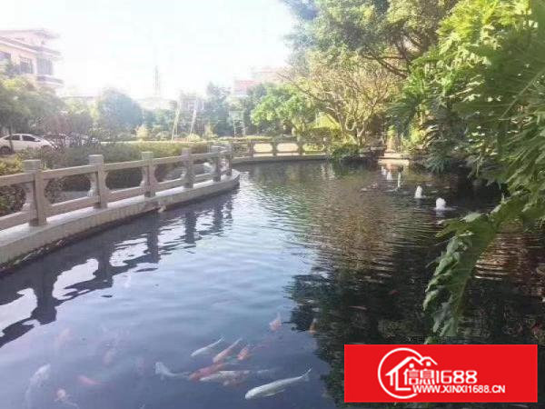 东莞市大朗镇带鱼塘独院18000平方出租带独立办公楼