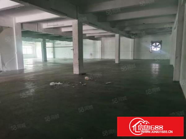 万江简沙洲工业区新出独门独院标准厂房4500平方