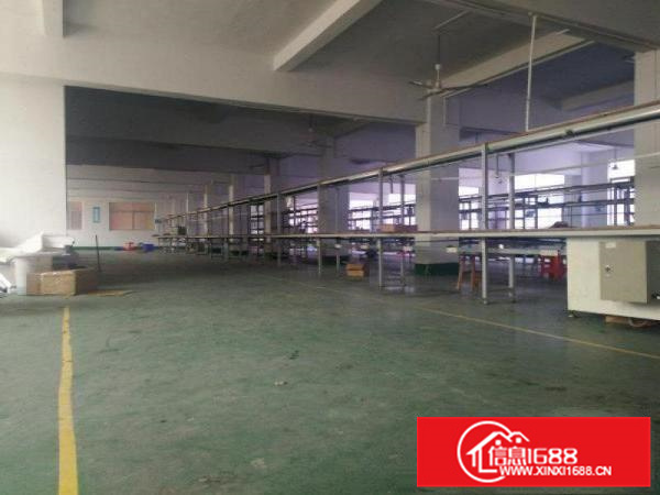 惠阳新圩一楼标准楼房500平方米