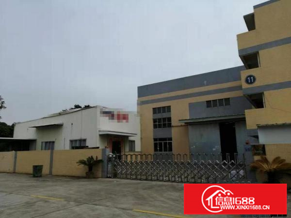 南海狮山大量独门独院10米高单一层厂房出租