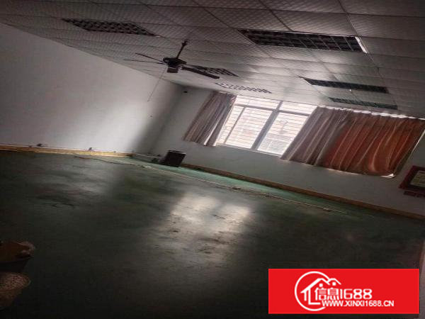 新出！虎门精品一楼厂房735平米（带装修）