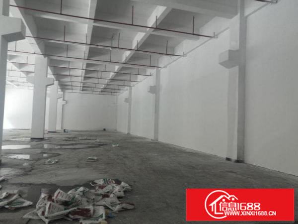 横岗旱塘村新出一楼花园式精装厂房1200平出租，可分租带消防