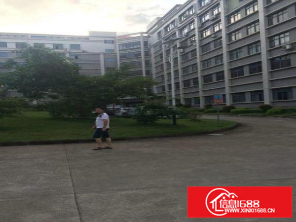 坂田30000平方厂房仓库招租