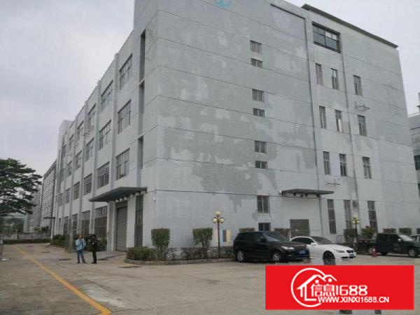 惠州新圩原房东独院厂房出租4000平出租带宿舍