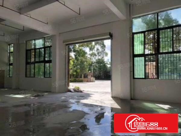 出租，石岩龙大高速口一楼1600平厂房，仓库出租