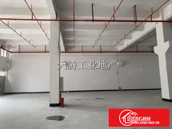 Y杏坛智富园出租首层980方厂房