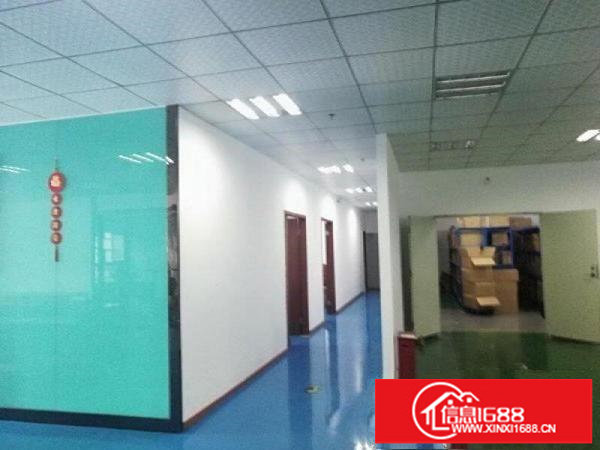 坂田上雪科技园一整层1500平带装修