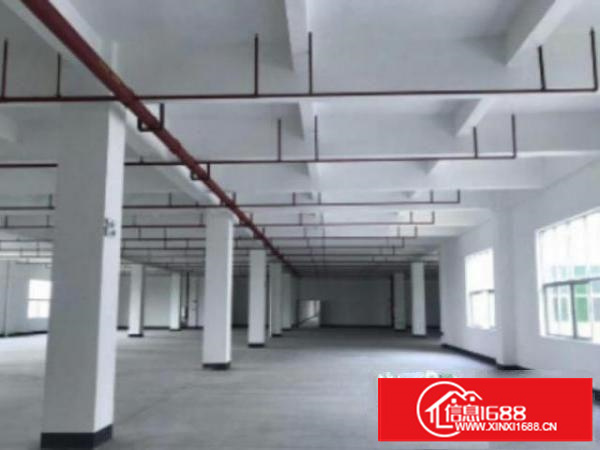 万江简沙洲标准厂房楼上三楼2000平方带消防喷淋出租
